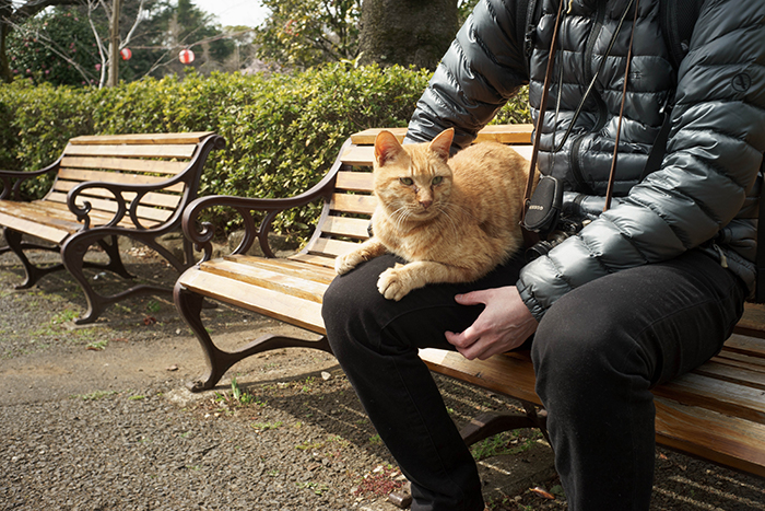 f:id:aremo-koremo:20170424160214j:plain