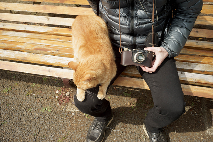 f:id:aremo-koremo:20170424160228j:plain