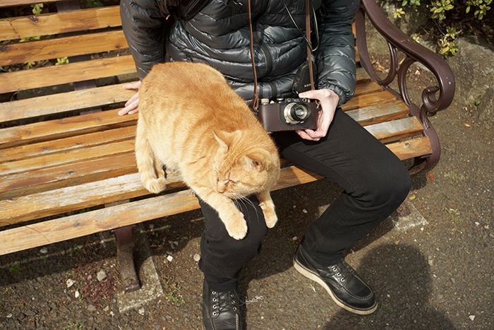 f:id:aremo-koremo:20170424160250j:plain