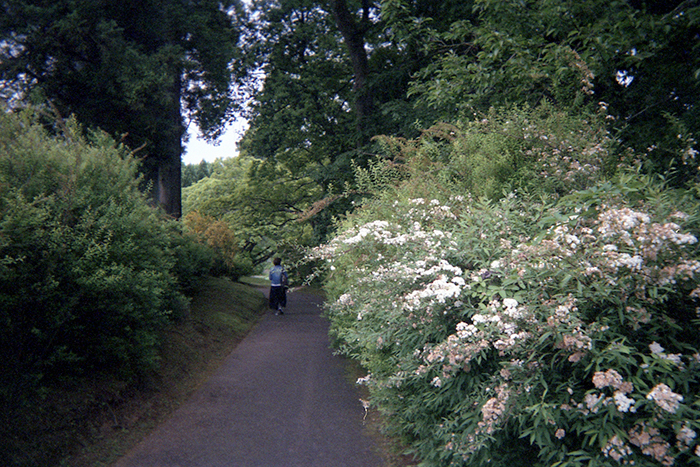 f:id:aremo-koremo:20170523040808j:plain