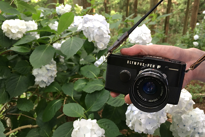 f:id:aremo-koremo:20170701162422j:plain