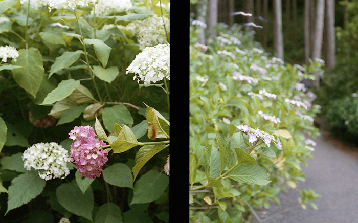 f:id:aremo-koremo:20170701163307j:plain