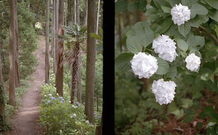 f:id:aremo-koremo:20170701163804j:plain