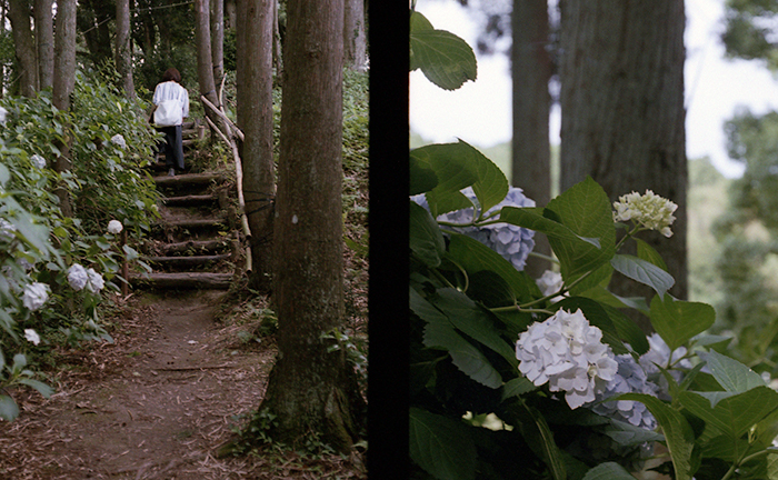 f:id:aremo-koremo:20170701163847j:plain