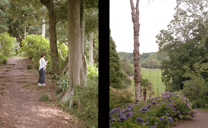 f:id:aremo-koremo:20170701163912j:plain