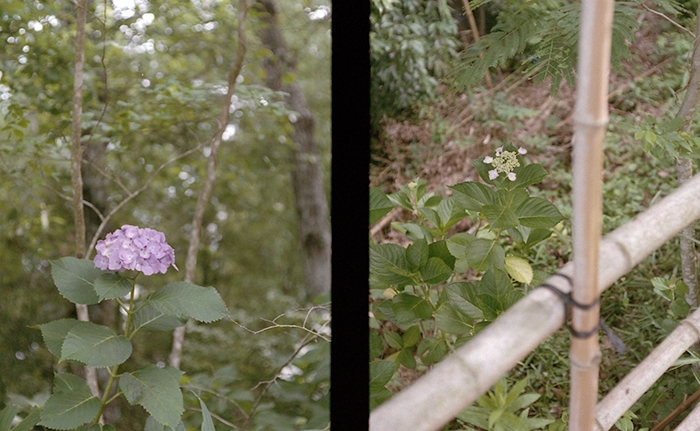 f:id:aremo-koremo:20170701164317j:plain