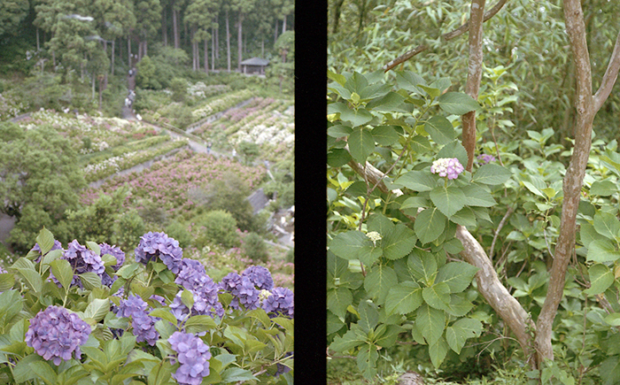 f:id:aremo-koremo:20170701164403j:plain