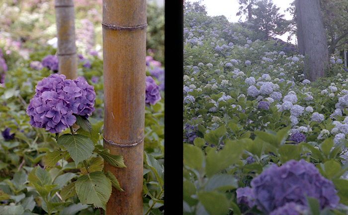 f:id:aremo-koremo:20170701164510j:plain