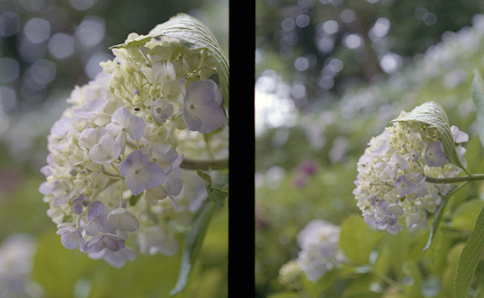 f:id:aremo-koremo:20170701165257j:plain