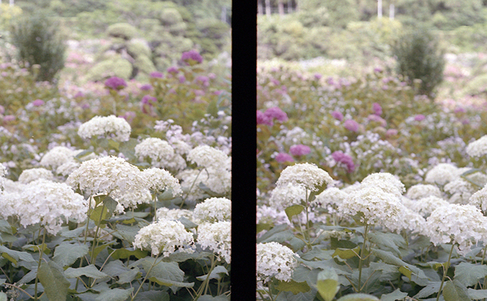 f:id:aremo-koremo:20170701165538j:plain