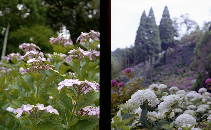 f:id:aremo-koremo:20170701165659j:plain