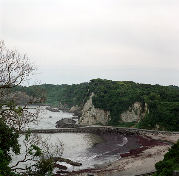 f:id:aremo-koremo:20170709143427j:plain f:id:aremo-koremo:20170709143427j:plain