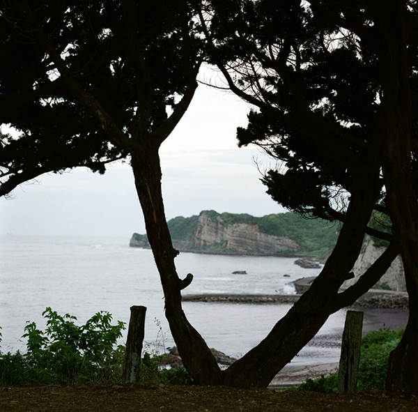 f:id:aremo-koremo:20170709143725j:plain f:id:aremo-koremo:20170709143725j:plain