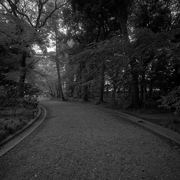 f:id:aremo-koremo:20170731235951j:plain