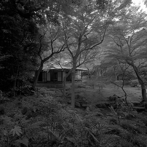 f:id:aremo-koremo:20170801000115j:plain