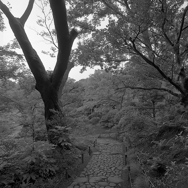 f:id:aremo-koremo:20170801000240j:plain