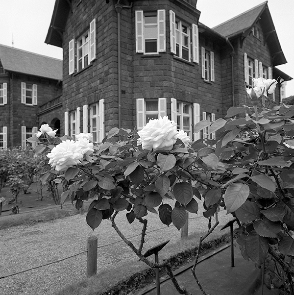 f:id:aremo-koremo:20170801000402j:plain