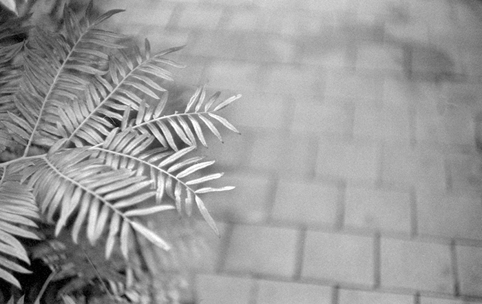 f:id:aremo-koremo:20171107175951j:plain f:id:aremo-koremo:20171107175951j:plain