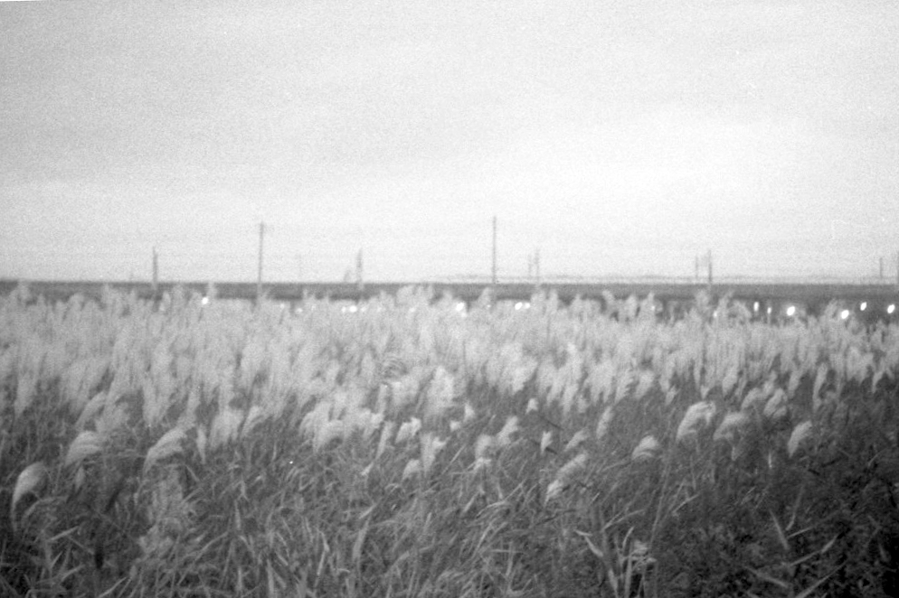 f:id:aremo-koremo:20171212204432j:plain