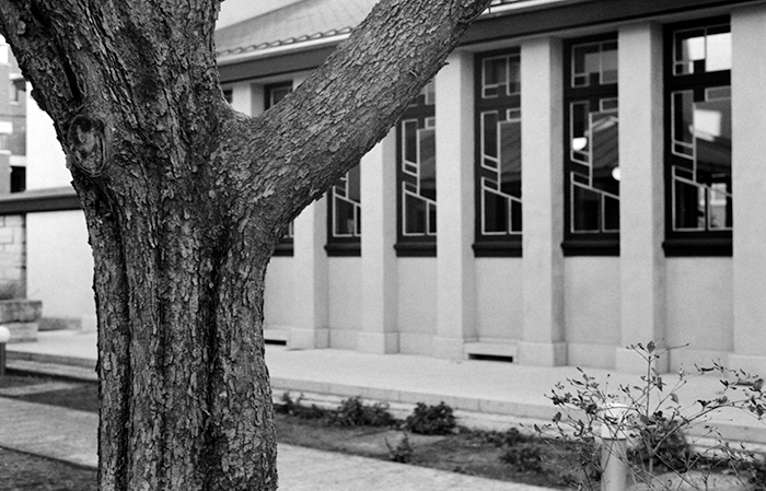 f:id:aremo-koremo:20180113231342j:plain f:id:aremo-koremo:20180113231342j:plain