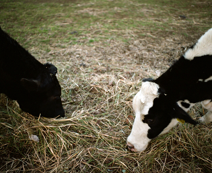 f:id:aremo-koremo:20180121150811j:plain f:id:aremo-koremo:20180121150811j:plain