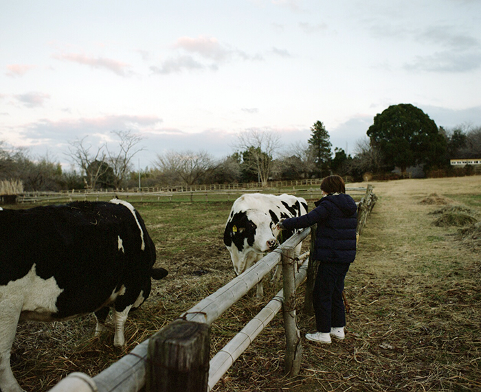 f:id:aremo-koremo:20180121150936j:plain f:id:aremo-koremo:20180121150936j:plain