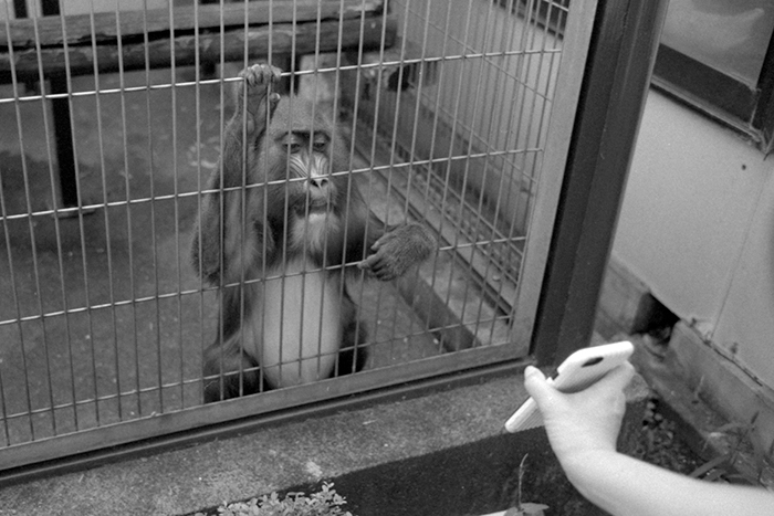 f:id:aremo-koremo:20180212161240j:plain f:id:aremo-koremo:20180212161240j:plain