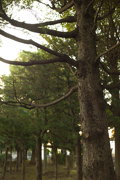 f:id:aremo-koremo:20180212161750j:plain f:id:aremo-koremo:20180212161750j:plain