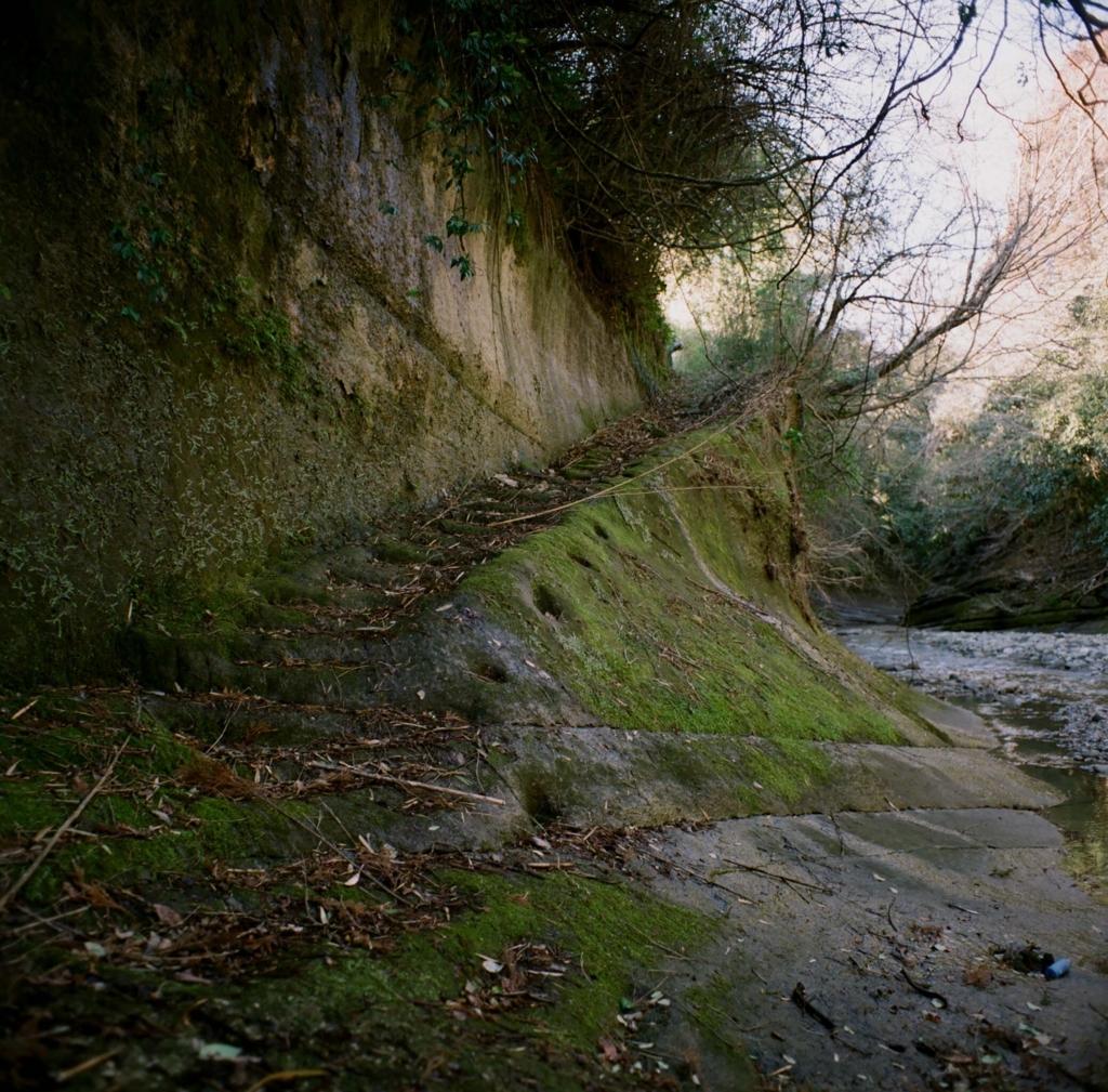 f:id:aremo-koremo:20180213180641j:plain f:id:aremo-koremo:20180213180641j:plain