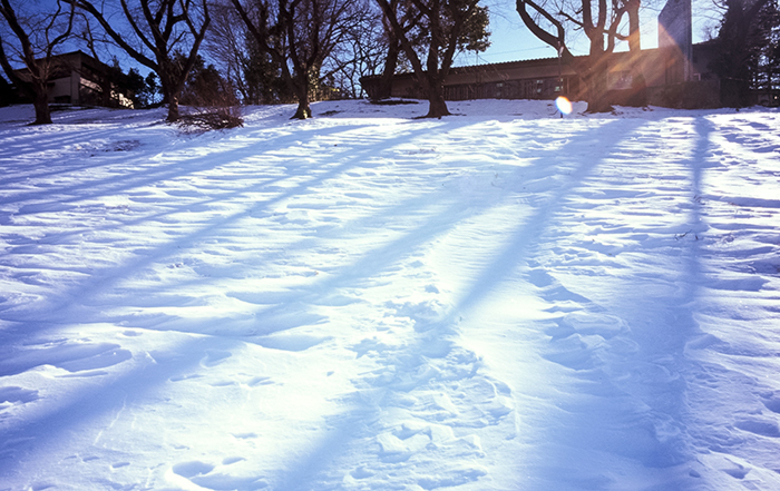 f:id:aremo-koremo:20180226143207j:plain