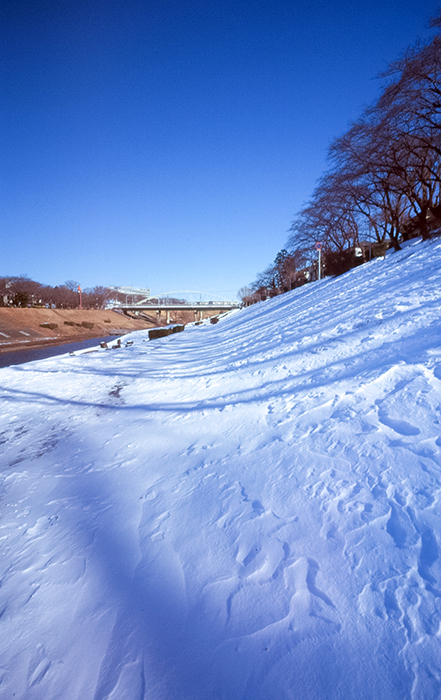 f:id:aremo-koremo:20180226143821j:plain