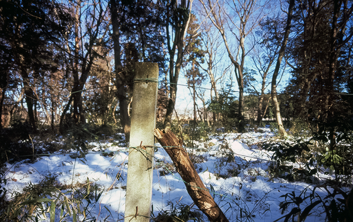 f:id:aremo-koremo:20180226144514j:plain