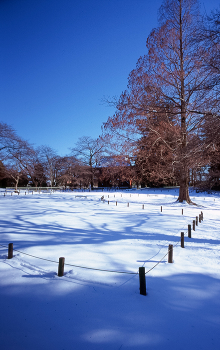 f:id:aremo-koremo:20180226144926j:plain