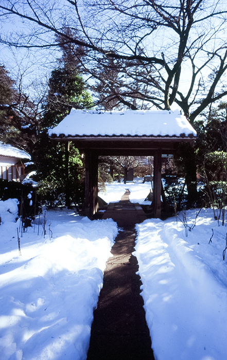 f:id:aremo-koremo:20180226145203j:plain