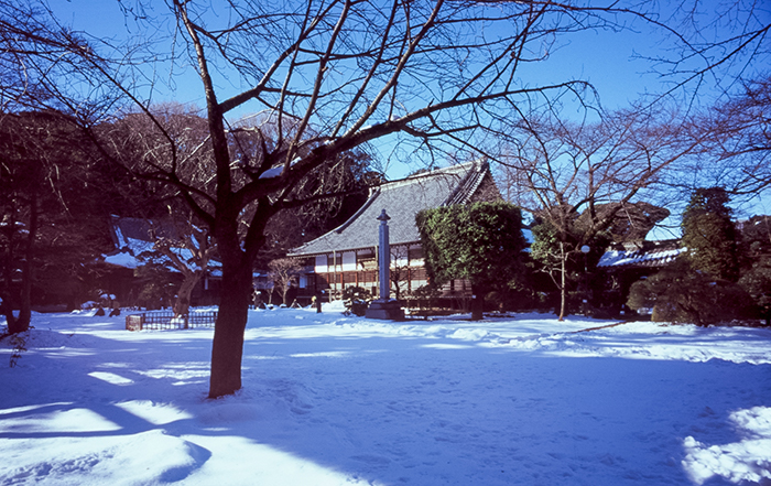 f:id:aremo-koremo:20180226145556j:plain