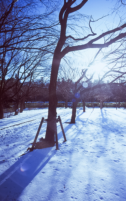 f:id:aremo-koremo:20180226145753j:plain