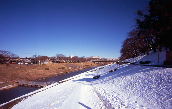 f:id:aremo-koremo:20180226154040j:plain