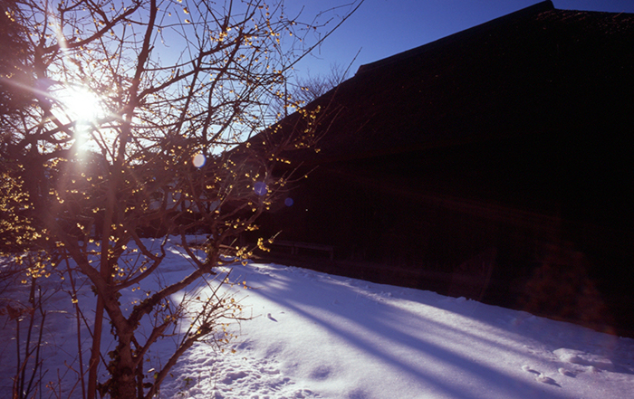 f:id:aremo-koremo:20180226154326j:plain