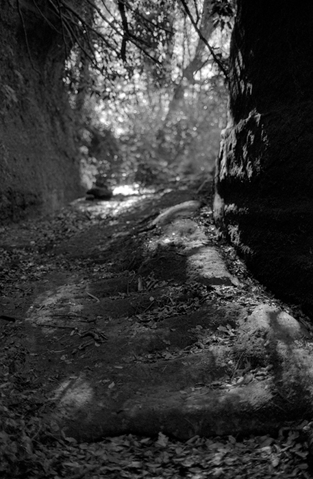 f:id:aremo-koremo:20180304041011j:plain