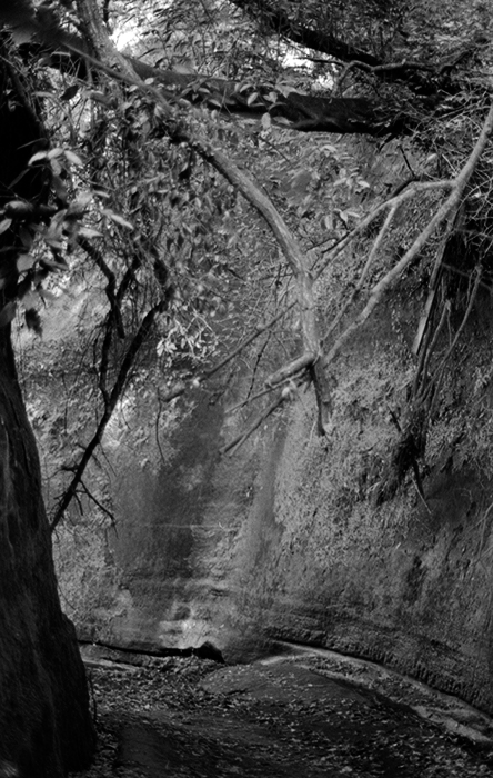 f:id:aremo-koremo:20180304041240j:plain