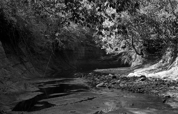 f:id:aremo-koremo:20180304041724j:plain