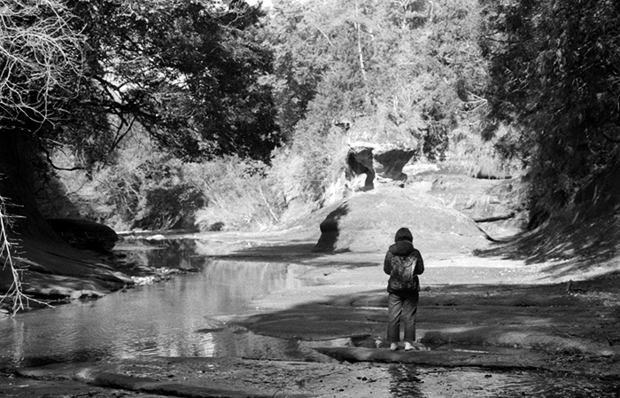 f:id:aremo-koremo:20180304041805j:plain