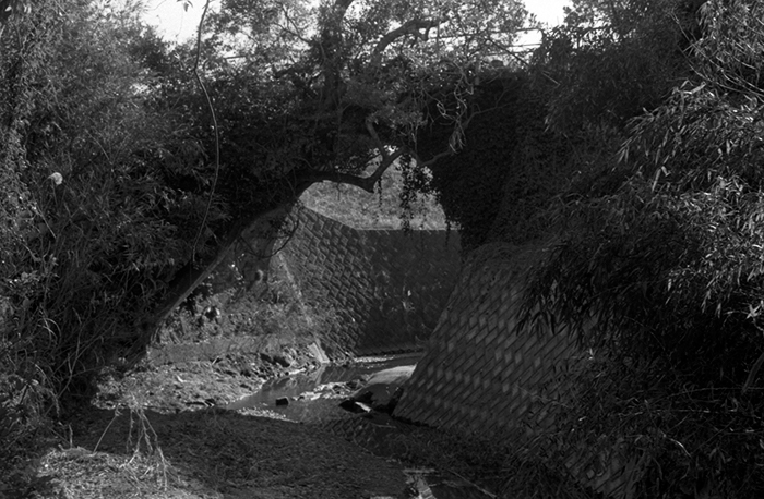 f:id:aremo-koremo:20180311165950j:plain f:id:aremo-koremo:20180311165950j:plain