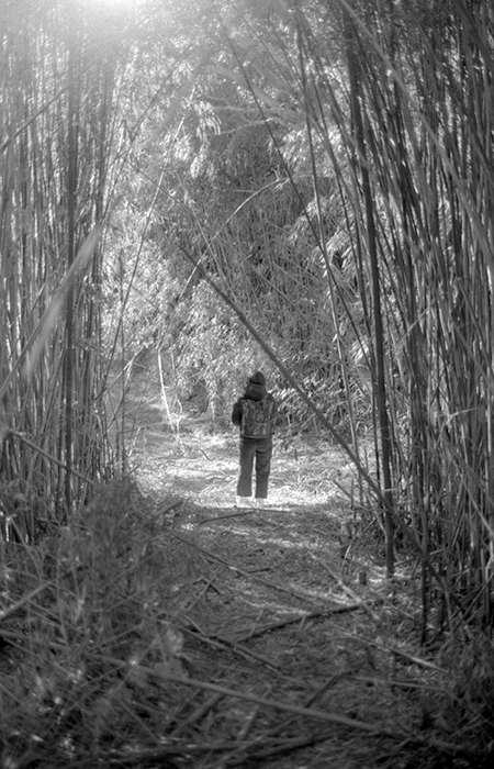 f:id:aremo-koremo:20180311170020j:plain f:id:aremo-koremo:20180311170020j:plain