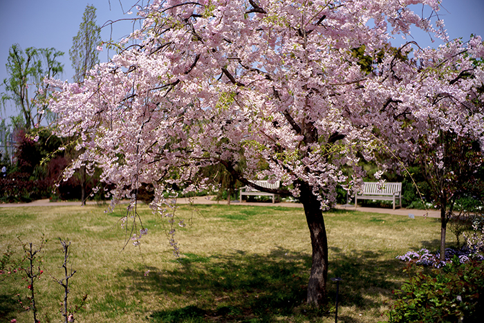 f:id:aremo-koremo:20180407020007j:plain f:id:aremo-koremo:20180407020007j:plain