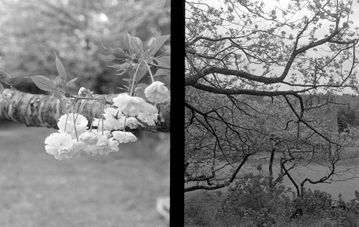 f:id:aremo-koremo:20180422234114j:plain