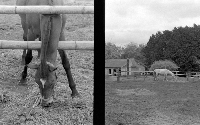 f:id:aremo-koremo:20180422234428j:plain