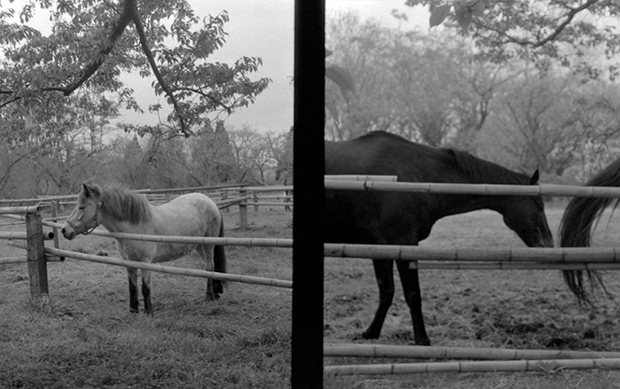 f:id:aremo-koremo:20180422234700j:plain