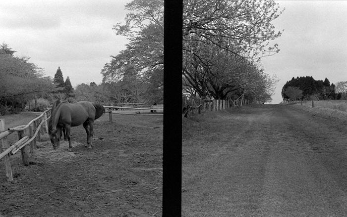 f:id:aremo-koremo:20180422235523j:plain