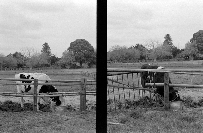 f:id:aremo-koremo:20180422235816j:plain